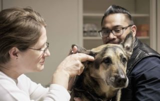 Tierarztpraxis Nussdorf Interne Medizin