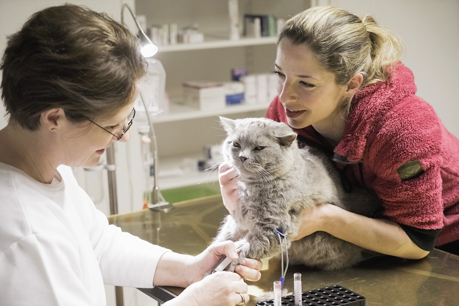 Tierarztpraxis Nussdorf Interne Medizin