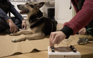 Tierarztpraxis Nussdorf Elektrotherapie