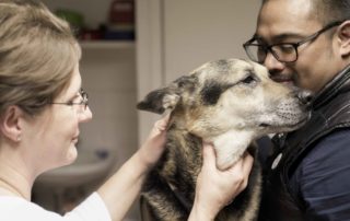 Tierarztpraxis Nussdorf Interne Medizin